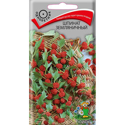 ������ ������ ������ �����������   ����