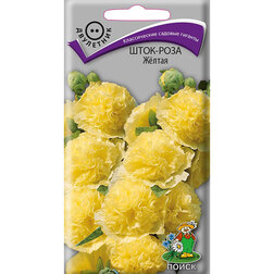 ������ ������ ����-���� Ƹ����   ����