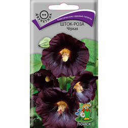 ������ ������ ����-���� ׸����   ����