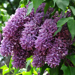 ������ ������ ������ ������������ ������� ��������   ����