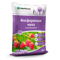 ������ ������ ����������� ���� (2��) ����. ���������   ����