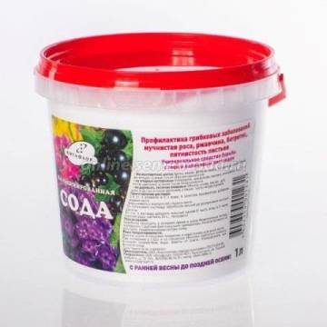 ������ ������ ���� ���������������� � ������������ (����� 1�)   ����