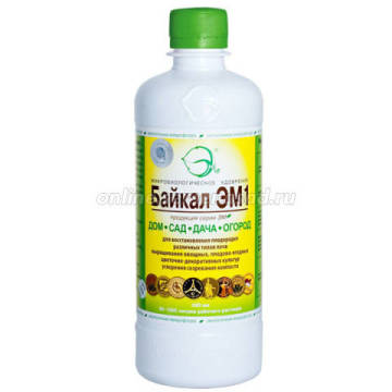 ������ ������ ������ ��-1(0,5�.)   ����