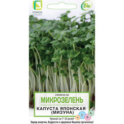 ������ ������ ������� �������� (������) (�����������) (���� ������. �� ����� 2024 �)   ����