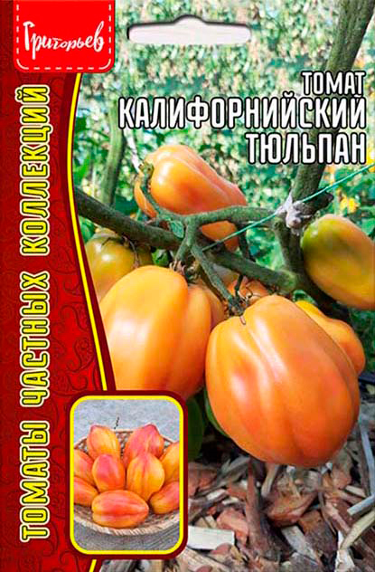 ������ ������ ������ ��������� ����� �������������� �������, 5 ��. ������ ������� ���������   ����