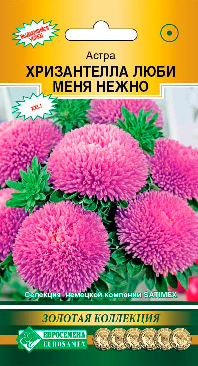 ������ ������ ������ ���������� ����� ��������� ����������� ���� ���� �����, 5 ��. ������� ���������   ����