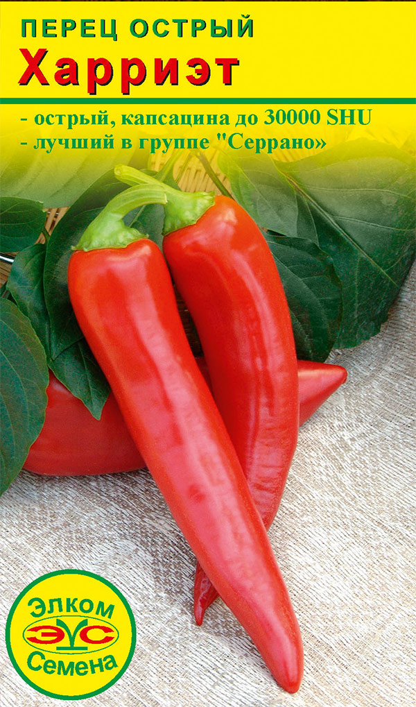 ������ ������ ������ ����� ������ ����� ������ �������, 5 ��.   ����