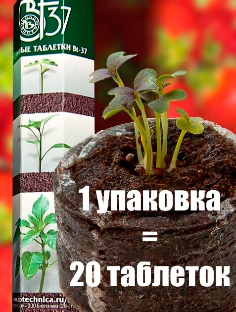 ������ ������ ���� �� ���������� ���������� �������� �������� Bt-37 ��, 20 ��.   ����