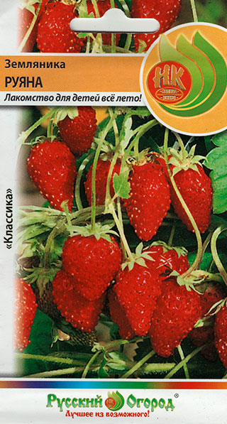 ������ ������ ������ ������� ������ ��������� �����, 0,03 �   ����