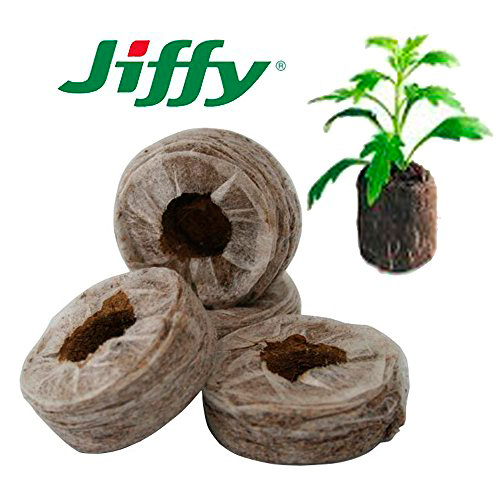     JIFFY -   - 7 (Jiffy - 7) 33 , 30 .    -     , -, 