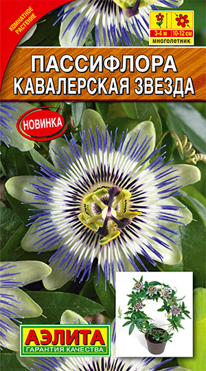 ������ ������ ������ ������ ���������� ����������� ������, 5 ��.   ����