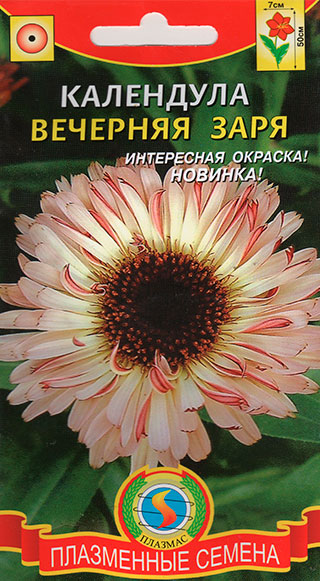 ������ ������ ������ ������� ��������� �������� ����, 0,2 �   ����