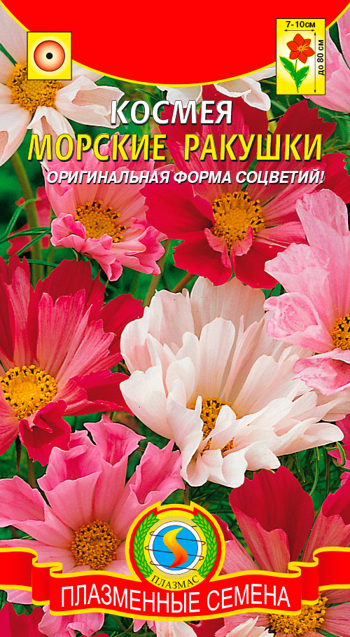 ������ ������ ������ ������� ������ ������� �������, �����, 0,3 �   ����