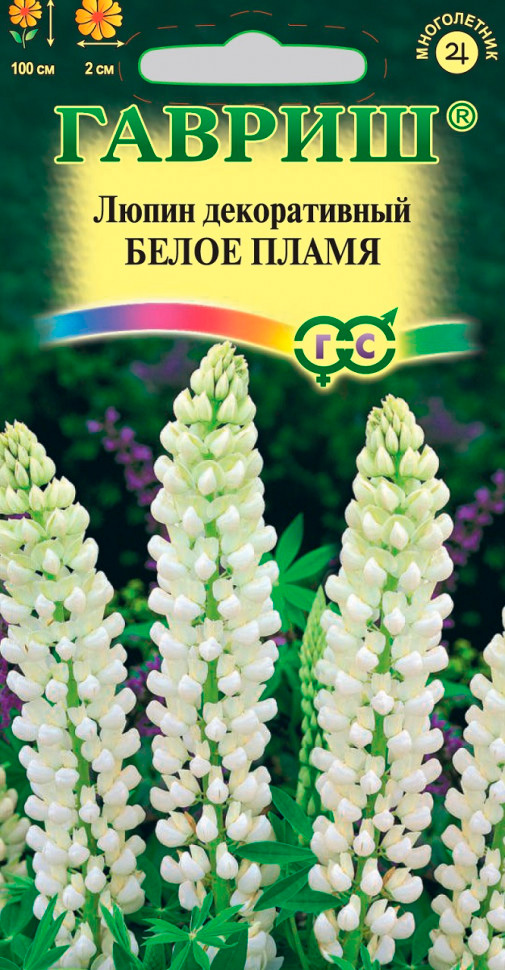 ������ ������ ������ ������ ����� ������� ����� �����, 0,5 �   ����