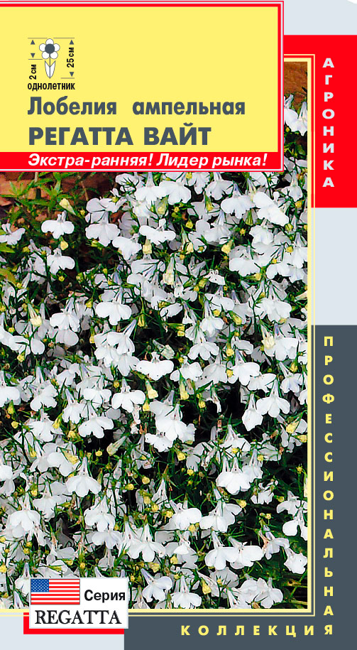 ������ ������ ������ ������� ������� ��������� ������� ����, 8 ����������� ���������������� ���������   ����