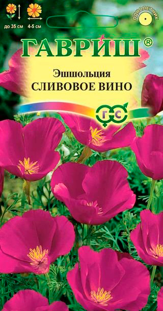 ������ ������ ������ ������ ��������� �������� ����, 0,2 �   ����