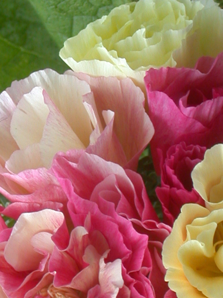 ������ ������ ������ ���������� ��������� �������������� ������, �����, 20 ��. ������ ������� ��������   ����