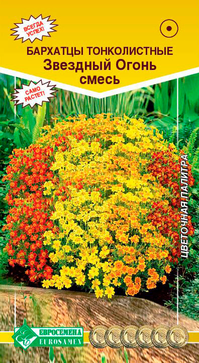 ������ ������ ������ ���������� �������� ������������ �������� �����, 0,02 �   ����