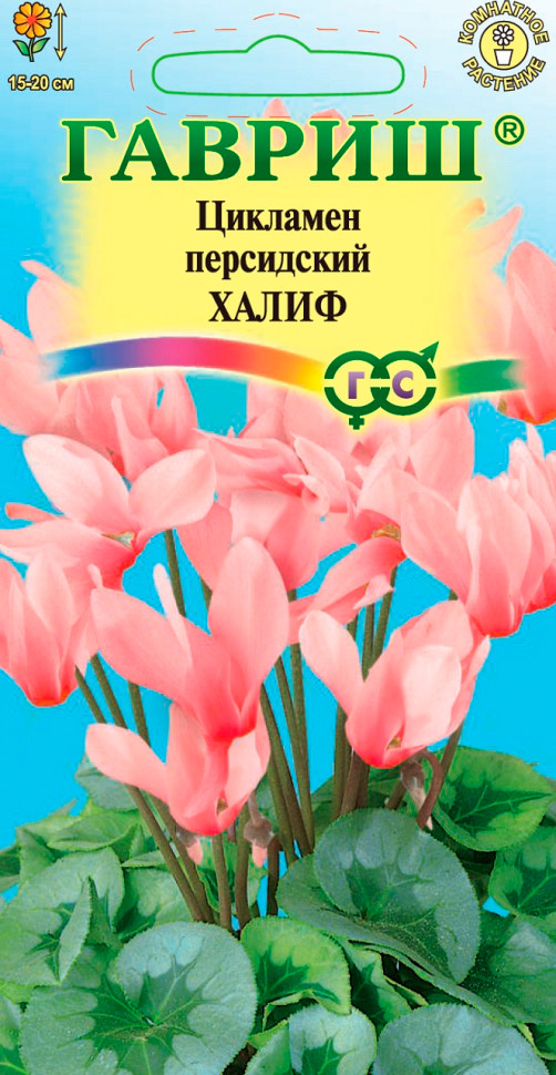 ������ ������ ������ ������ �������� ���������� �����, 3 ��.   ����