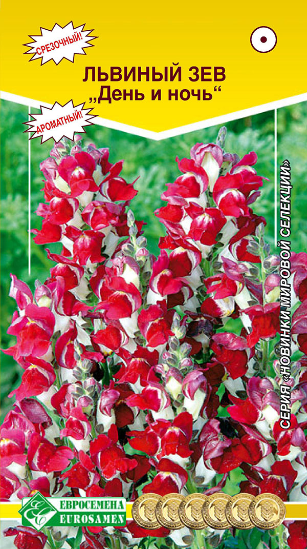 ������ ������ ������ ���������� ������� ��� ���� � ����, 0,05 �   ����