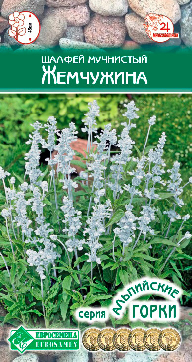 ������ ������ ������ ���������� ������ ��������� ���������, 10 ��. ���������� �����   ����