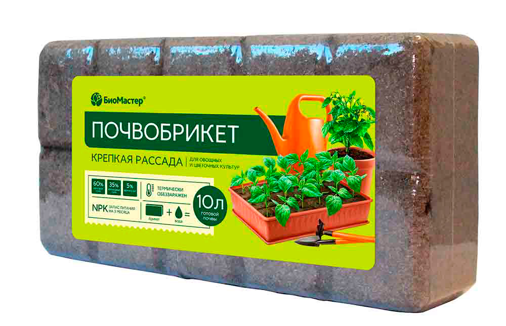 ������ ������ ���� �� ���������� ��������� ����������� ������� �������, 10 �   ����