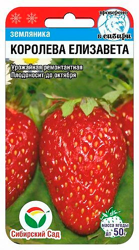 ������ ������ ������ ��������� ��� ��������� ������������� �������� ���������, 10 ��.   ����