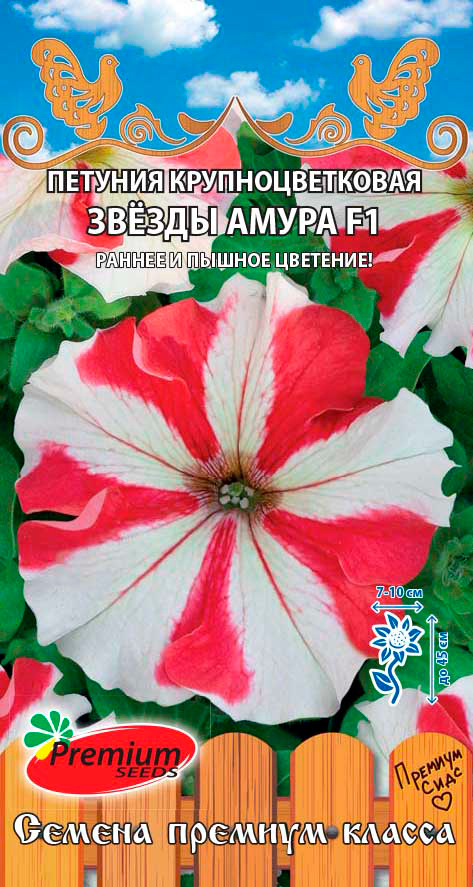   Premium seeds    , 10 .       -     , -, 