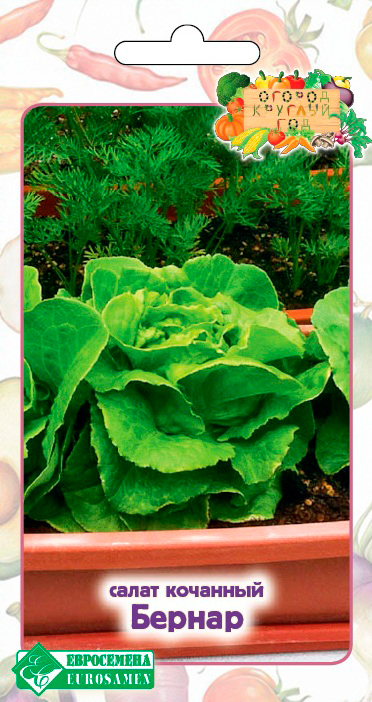 ������ ������ ������ ���������� ����� �������� ������, 0,5 � ������ ������� ���   ����