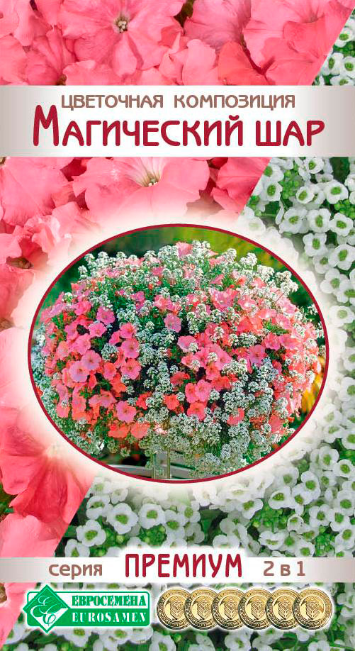 ������ ������ ������ ���������� ��������� ���������� ���������� ���, 8 ����� ������� 2 � 1   ����