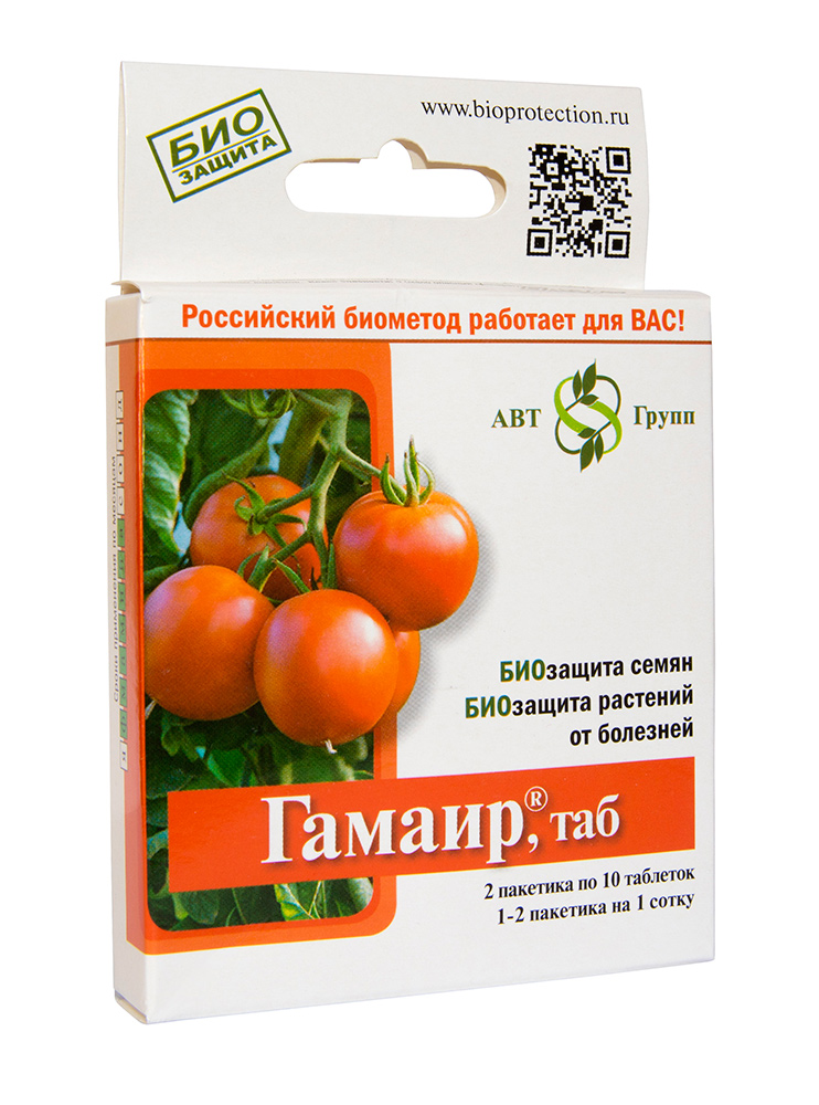 ������ ������ ���� �� ���������� �����������������         ������ (��� ������ ����� � ��������), 20 ��.   ����