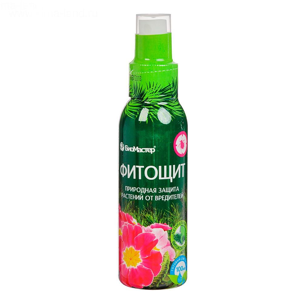 ������ ������ ���� �� ���������� ��������� ����� �� ���������� �������, 100 ��   ����