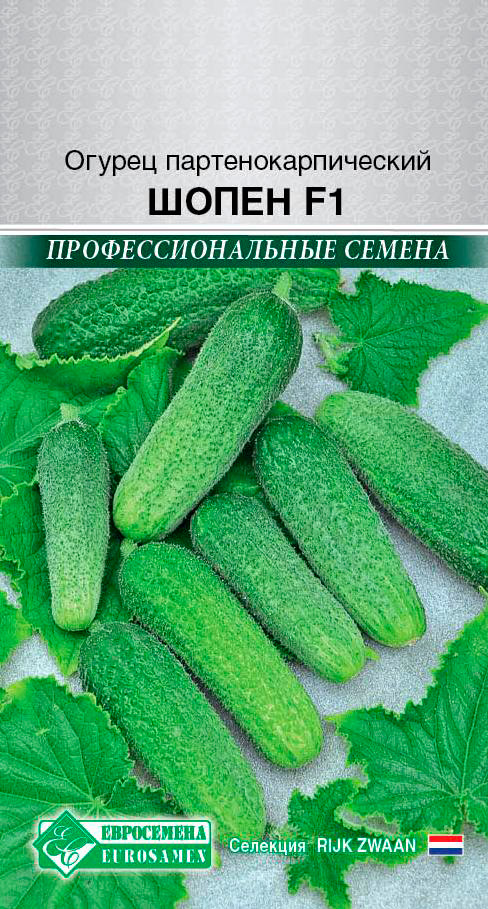 ������ ������ ������ ���������� ������ ����� F1, 5 ��. Rijk Zwaan ���������������� ������   ����