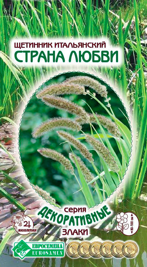 ������ ������ ������ ���������� �������� ����������� ������ �����, 15 ��. ������������ �����   ����