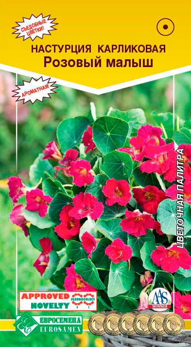 ������ ������ ������ ���������� ��������� ���������� ������� �����, 0,5 �   ����