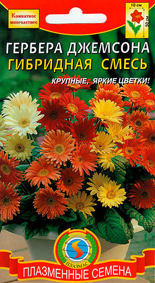 ������ ������ ������ ������� ������� ��������, ����� ���������, 10 ��.   ����