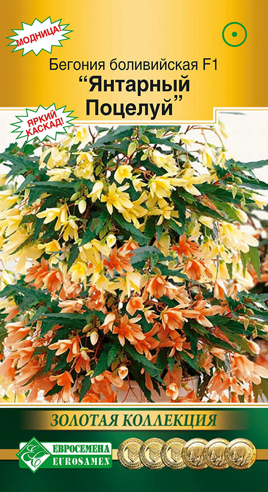 ������ ������ ������ ���������� ������� ����������� �������� ������� F1, 5 ����� ������� ���������   ����