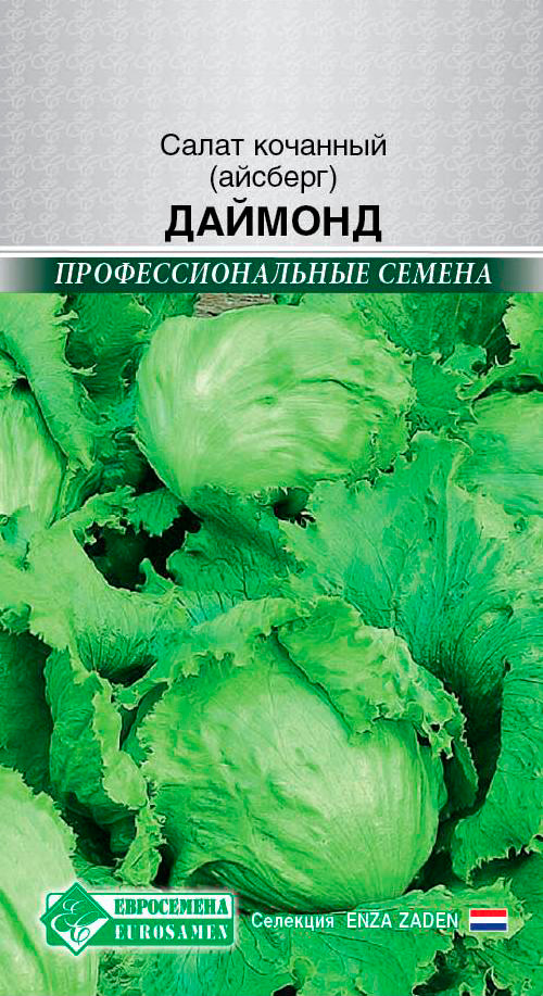 ������ ������ ������ ���������� ����� �������� (�������) �������, 8 ��. Enza Zaden ���������������� ������   ����