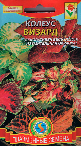 ������ ������ ������ ������� ������ ������, �����, 10 ��.(��)   ����