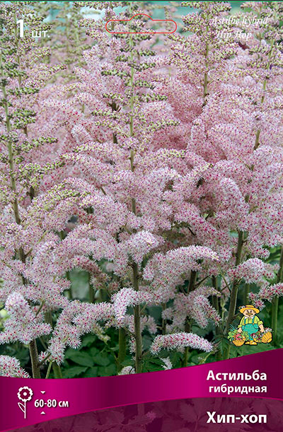 ������ ������ ���������� �������� ����� ��������� �������� ��������� ���-���, 1 ��.   ����