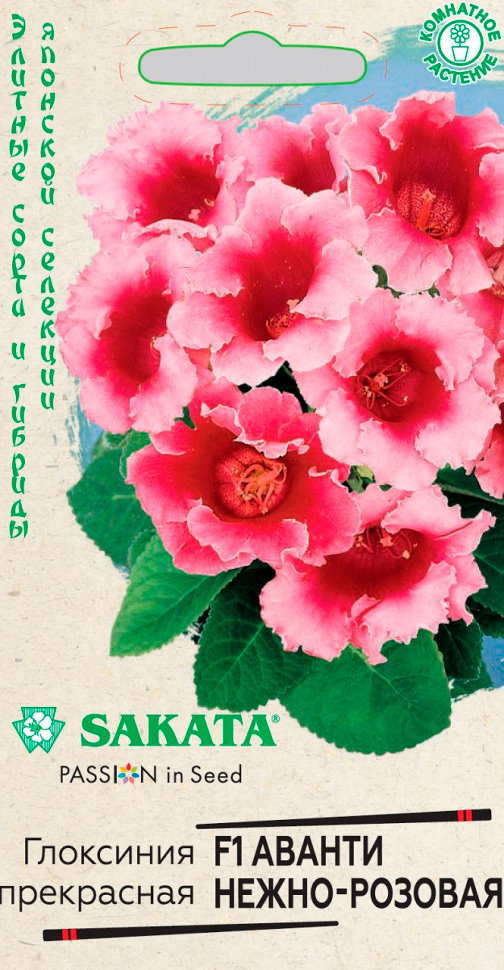      - F1, 5 . Sakata    -     , -, 