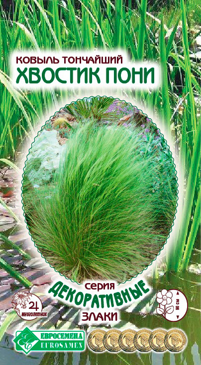 ������ ������ ������ ���������� ������ ��������� ������� ����, 10 ��. ������������ �����   ����