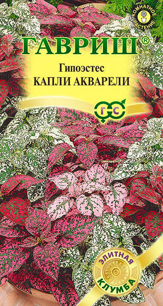 ������ ������ ������ ������ ��������� ����� ��������, 5 ��.   ����