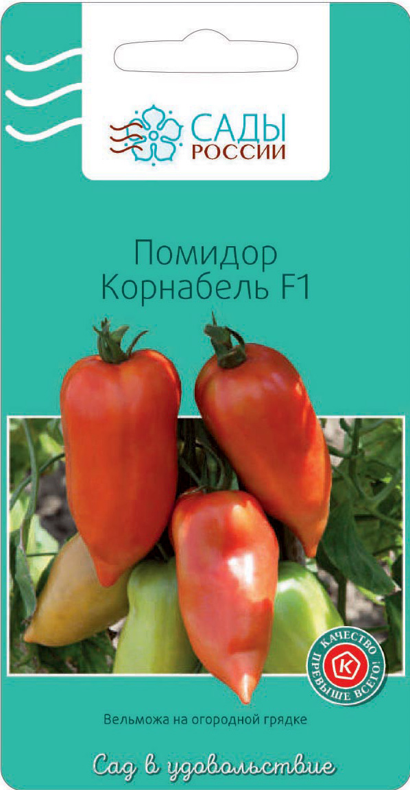 ������ ������ ������ ���� ������ ����� ��������� F1, 3 ��.   ����