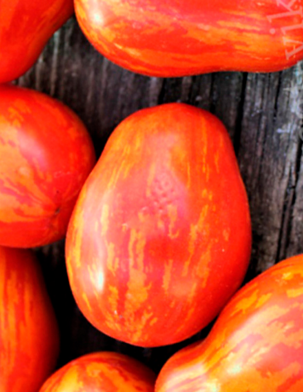 ������ ������ ������ ����� ������ ����� ���������� ������, 5 ��.   ����