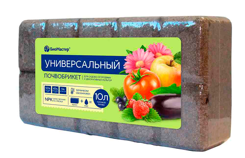 ������ ������ ���� �� ���������� ��������� ����������� �������������, 10 �   ����