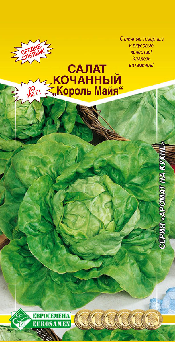 ������ ������ ������ ���������� ����� �������� ������ ����, 1 � ������ �� �����   ����