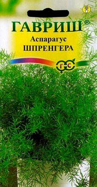 ������ ������ ������ ������ ��������� ���������, 5 ��.   ����