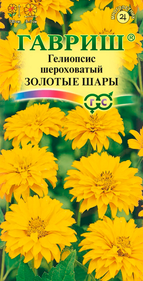 ������ ������ ������ ������ ��������� ����������� ������� ����, 0,2 �   ����