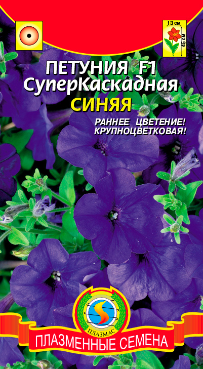 ������ ������ ������ ������� ������� �������������� ����� F1, 10 �����   ����